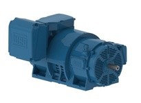 WEG 70036OT3G5010S-RF 700HP 3600 3 60 460V | YarinInd