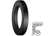 Dichtomatik 0611231VTCN1 75000662 VITON DOUBLE LIP | YarinInd