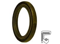 Dichtomatik 132031TCN2 75004106 Nitrile Double Lip Spring Shaft Seals