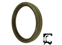 Dichtomatik 165243VTC-PL 75006240 VITON DOUBLE - PTFE LIP SPRING FULL SHAFT SEALS
