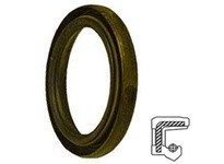 Dichtomatik 202843SCN1-BX 75008472 OIL SEAL | High-Quality Industrial Seal