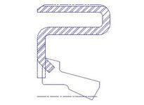 Dichtomatik 231352VH-H-BX 75009875 OIL SEAL