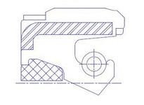 Dichtomatik 27X44X8CNB1W11 75011550 DESIGN SPECIAL SHAFT SEALS