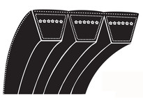 Bestorq 8/D158 Classical Metric V-Belt