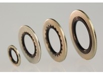 Dichtomatik DC 7/8 75183242 FITTING & FASTENER SEAL