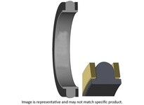 Dichtomatik TPO43 75186735 Piston Seal | Durable Tee Seal