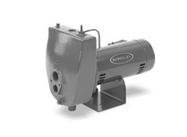 Berkeley 7HL JET PUMP 3/4HP CONV 1PH 115/230V BERK