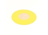 Allen Bradley 800G-AEL90 Yellow Legend Plate | High-Quality Industrial Supplies