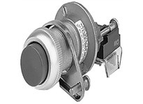Allen Bradley 800H-BP6D2 Non-Illuminated Pushbutton | YarinInd