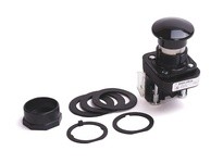 Allen Bradley 800H-DR2D2 Pushbutton