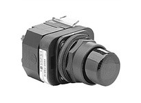 Allen Bradley 800H-QRB24A Pushbutton