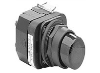 Allen Bradley 800H-QRBH2G Pushbutton | High-Quality Industrial Supplies