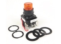 Allen Bradley 800H-QRT10 Pilot Light | YarinInd