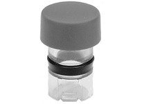 Allen Bradley 800MR-N24 Pushbutton Cap