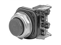 Allen Bradley 800T-B2D1 Pushbutton