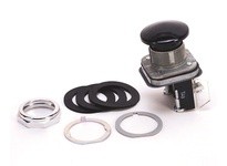 Allen Bradley 800T-D2C Pushbutton