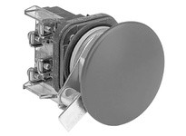 Allen Bradley 800T-D6LQ Pushbutton