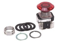 Allen Bradley 800T-FXJQ24R Push Button