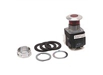 Allen Bradley 800T-FXMQ10R Push Button