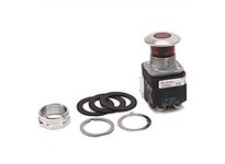 Allen Bradley 800T-FXQ24XD4 Pushbutton | YarinInd