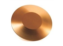 Allen Bradley 800T-N211GL Mushroom Head