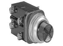 Allen Bradley 800T-PC216XRXR Cluster Pilot Light | High-Quality Industrial Supplies