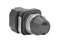 Allen Bradley 800T-PH16R Pilot Light | YarinInd