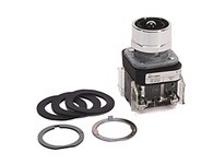 Allen Bradley 800T-QB24 Push Button