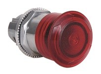 Allen Bradley 800T-TFXTQH2RG1 Pushbutton | YarinInd