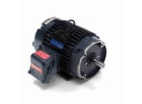 Leeson 825125.00 Explosion Proof Motors, EPFC, 3 HP, 3 Ph | YarinInd