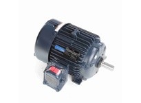 Leeson 825193.00 Explosion Proof Motors, EPFC, 10 HP, 3 Ph | YarinInd
