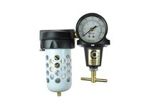 Coilhose 8862AAGR 1/4" Filter/Regulator Duo w/ Bowl Guard | YarinInd
