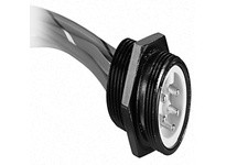 Allen Bradley 888N-M12AF1-1F Receptacle | High-Quality Industrial Supplies