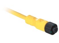 Allen Bradley 889D-F4FC-2 Cordset | YarinInd