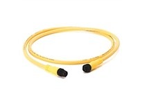 Allen Bradley 889D-F4HJDM-12 Patchcord