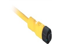 Allen Bradley 889D-F4UC-10 Cordset