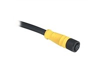 Allen Bradley 889D-F8AB-2 Cordset