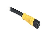 Allen Bradley 889D-F8AB-5 Cordset