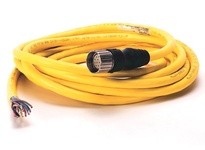 Allen Bradley 889M-F12AHMU-1 Patchcord