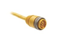 Allen Bradley 889N-F12ACNU-10 Cordset | YarinInd