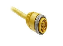 Allen Bradley 889N-F12ACNU-5 Cordset