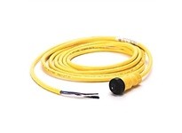 Allen Bradley 889N-F4AE-12F Cordset