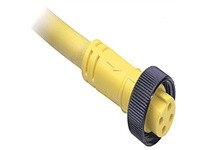 Allen Bradley 889N-R4AE-20F Cordset: Mini/Mini Plus Female R-Ang 4-PIN PVC Cable Yellow Unshielded 18AWG IEC Color Codedno Conne