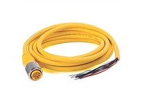 Allen Bradley 889N-U8AF-5 Cordset