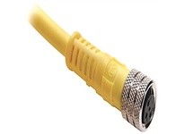 Allen Bradley 889P-F3UB-5 Cordset | YarinInd