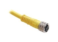 Allen Bradley 889P-F4AB-2 4 Pin PICO Straight Cordset 2m