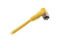 Allen Bradley 889P-R3UB-5 Cordset