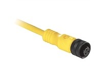 Allen Bradley 889R-F3AEA-10 Cordset