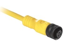 Allen Bradley 889R-F5AERM-3 Cordset