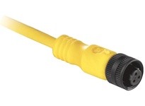 Allen Bradley 889R-M6ECA-10 QD Cordset | High-Quality Industrial Supplies